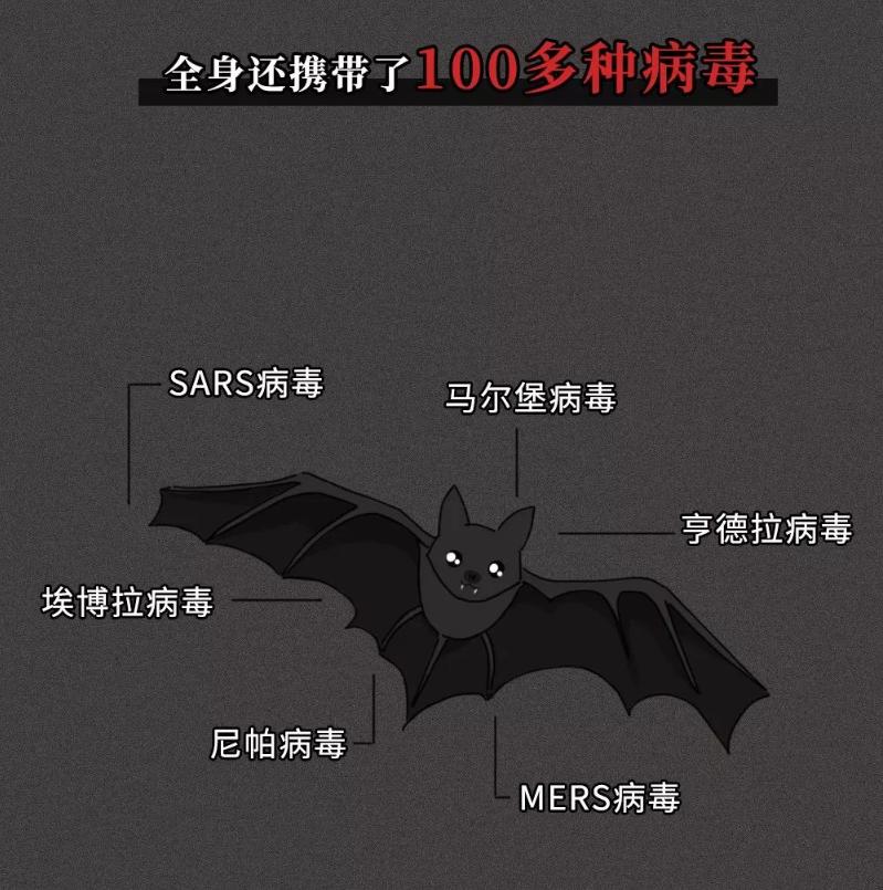 央視報道最新病毒疫情動態(tài)，變化中的學(xué)習(xí)，孕育未來希望
