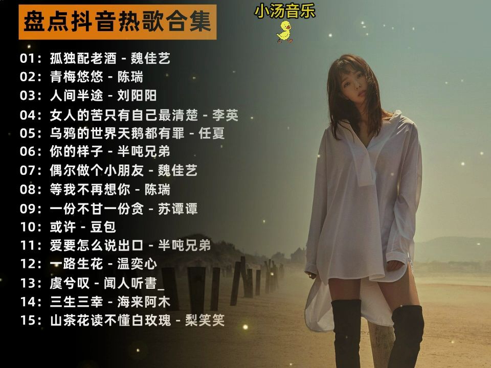 抖音最新歌單，一曲串聯(lián)的溫馨故事回顧