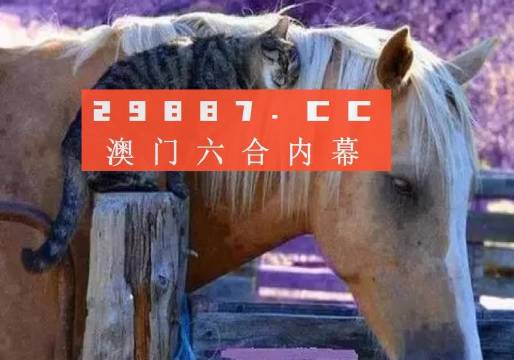 4949澳門特馬今晚開獎53期,藝術學歷史學數(shù)學_全景版35.362