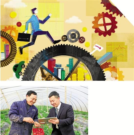 風(fēng)凰金融的日常故事，金融溫情與友情的交織最新信息解讀