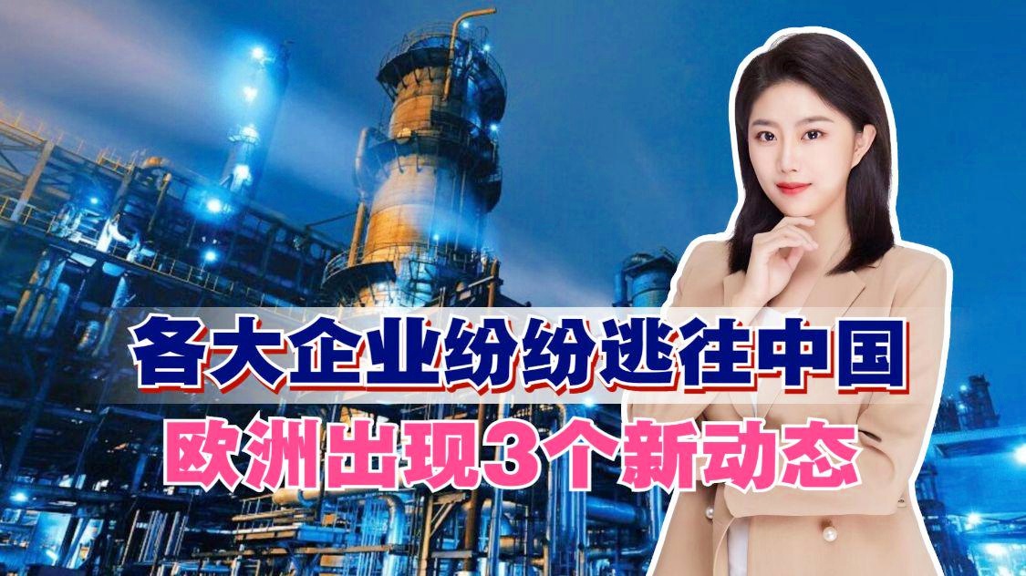 歐洲最新動態(tài)，小鎮(zhèn)溫馨日常與奇妙友誼的交織
