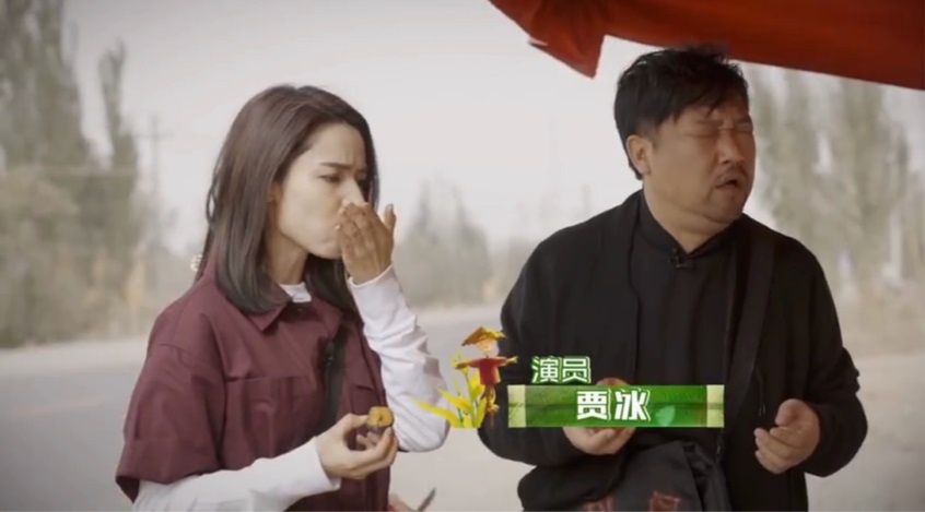 賈冰最新動(dòng)態(tài)揭秘，喜劇巨星的全新旅程探索