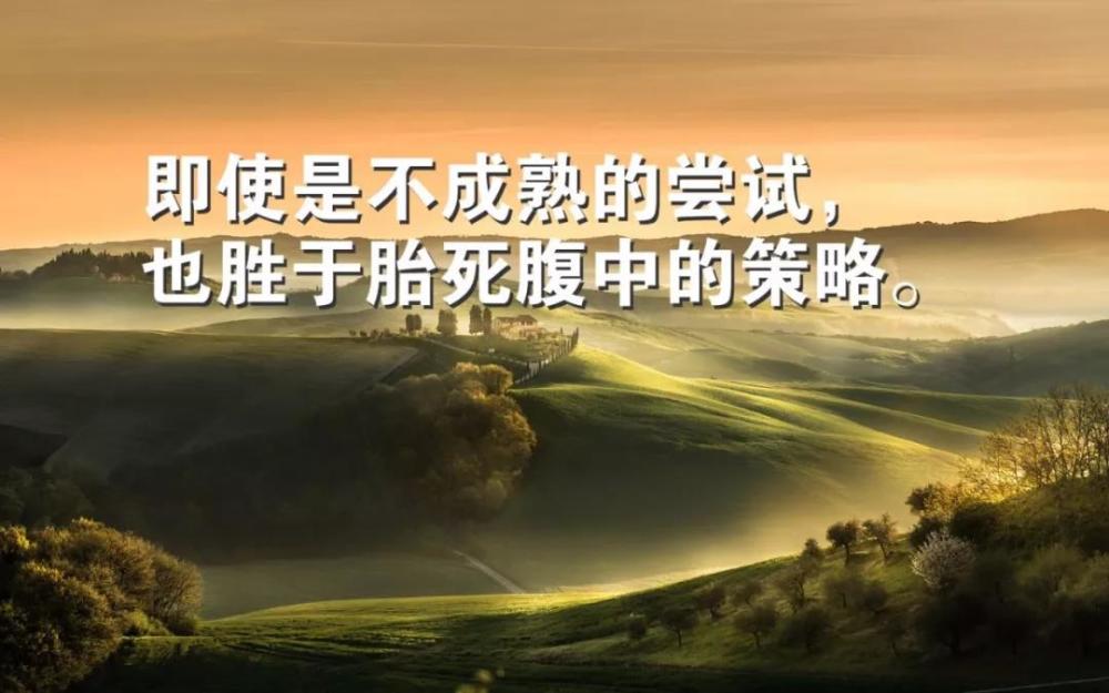 最新寬容事情，構(gòu)建和諧社會的關(guān)鍵篇章