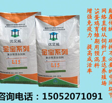 探索小巷隱藏寶藏，最新藍馬飼料引領味蕾冒險之旅