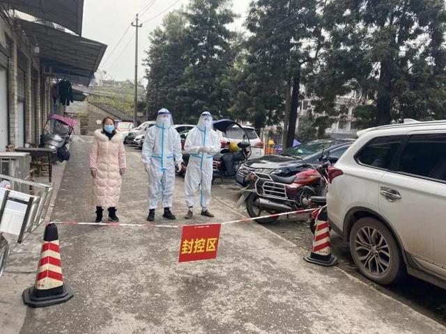 合江最新疫情回顧與洞察，深度解析疫情動態(tài)與影響