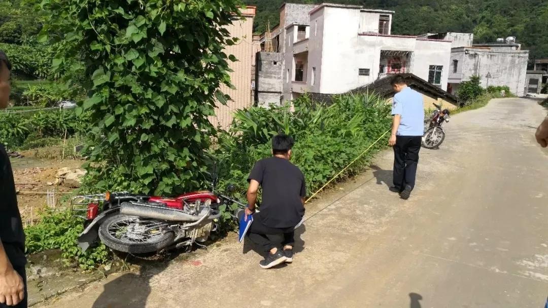 2017年高州車禍深度解析與個人觀點